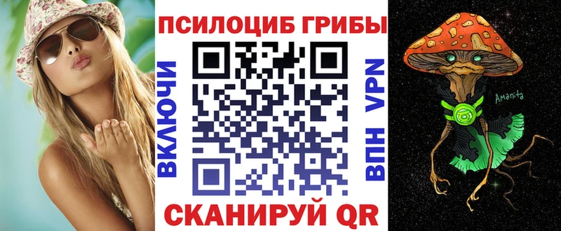 Псилоцибиновые грибы Psilocybe  цена   Донецк 